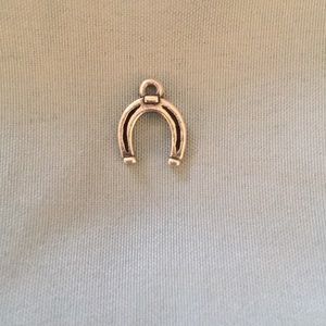 Horseshoe charm